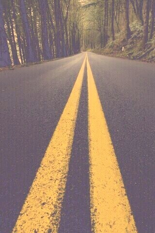 Дорога в лесу обои