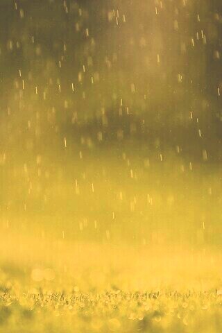 Трава под дождем обои