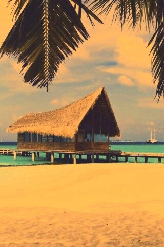 Бунгало обои