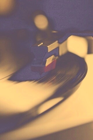 Пластинка обои