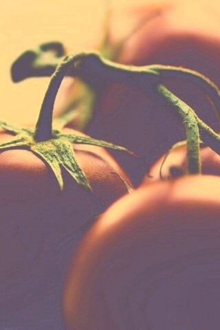 Аппетитные помидоры обои