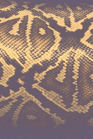 Змеиная кожа обои