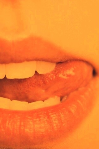 Сочные губки обои