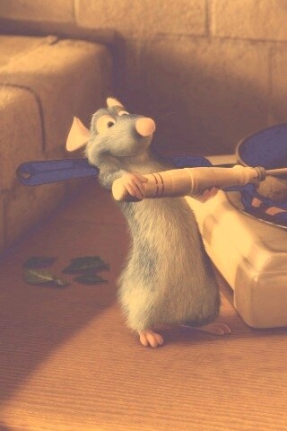 Рататуй у плиты обои