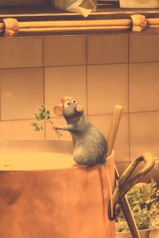 Рататуй варит суп обои