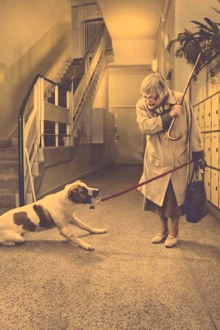 Непослушная собака обои