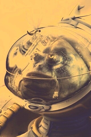 Инопланетянин и стрекоза обои