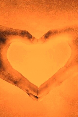 Сердце из сложенных рук обои