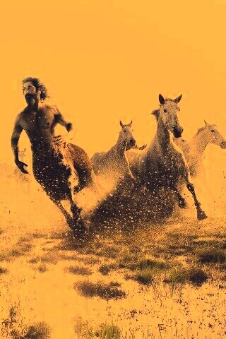 Кентавр обои