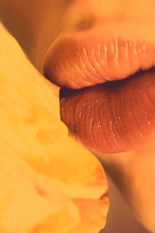 Губы девушки и роза обои