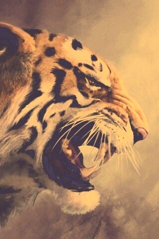 Картина с тигром обои