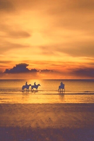 Наездники на закате обои