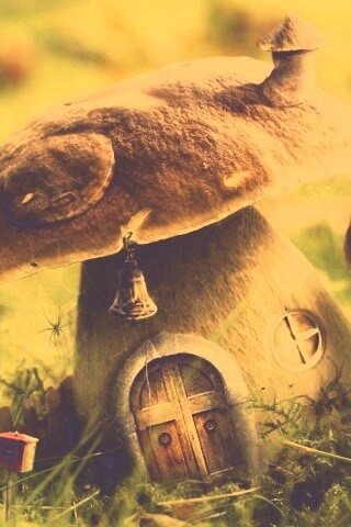 Грибы домики обои