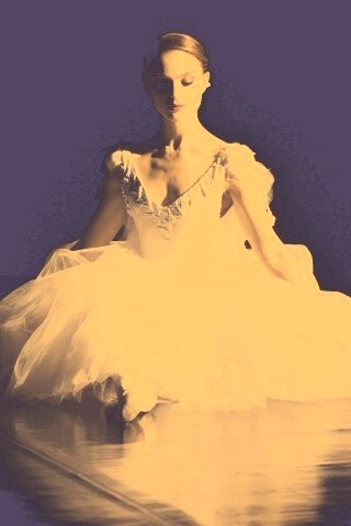 Черный лебедь обои