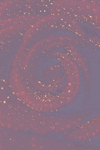 Красная роза обои