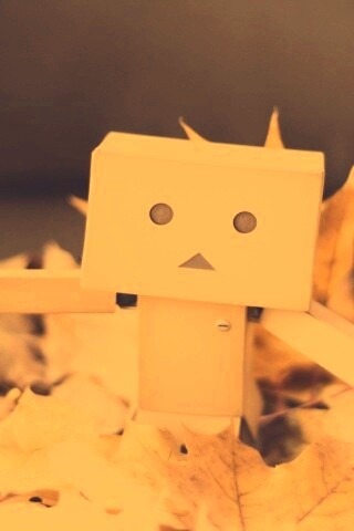  Yotsubato Danbo резвится листьях обои