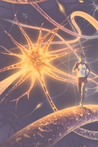 Бег мыслей обои