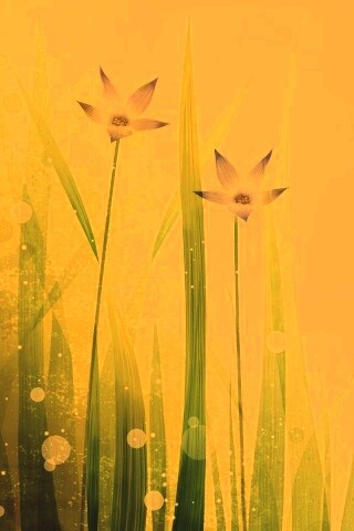 Векторные цветы обои