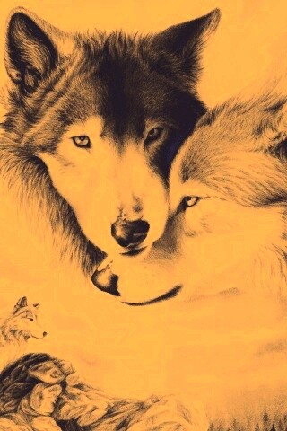 Волки обои