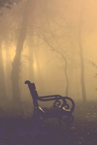 Темный лес обои