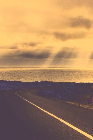 Дорога обои