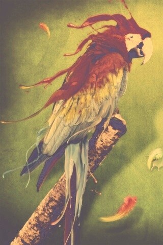 Попугай на ветке обои