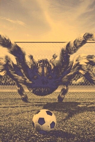 Вратарь обои