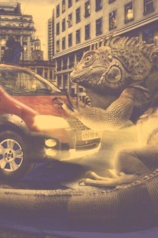 Ящерица в городе обои