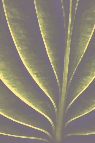 Неоновый лист обои