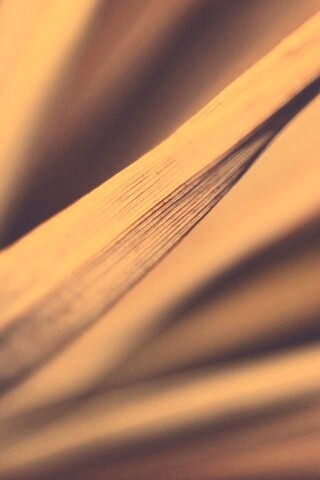 Сухое растение обои