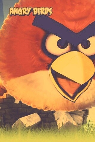 Angry Birds обои