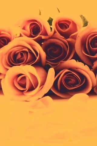 Букет роз обои