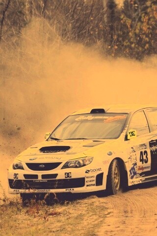 Раллийная гонка обои