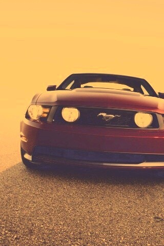 Форд Мустанг обои