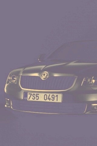 Шкода в темноте обои