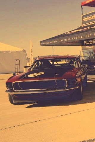 Мускул кары обои