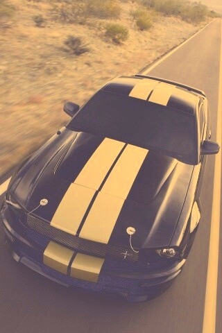 Ford Mustang  с гоночными полосками обои