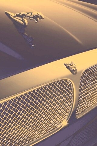 Капот и эмблема Ягуара обои