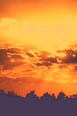 Ярко-оранжевое закатное небо обои