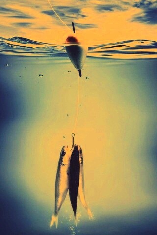 На крючке обои