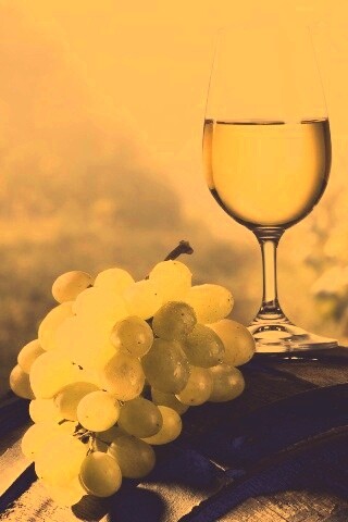 Винная бочка и бокал с белым вином обои