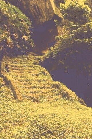 Старинный лесной храм обои