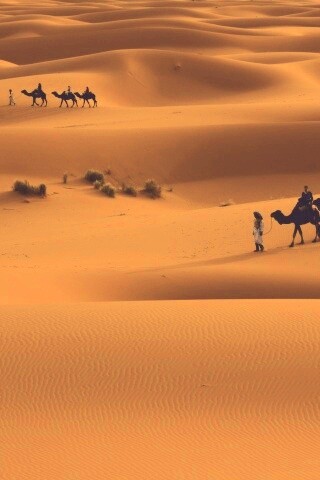 Караваны пустыни обои