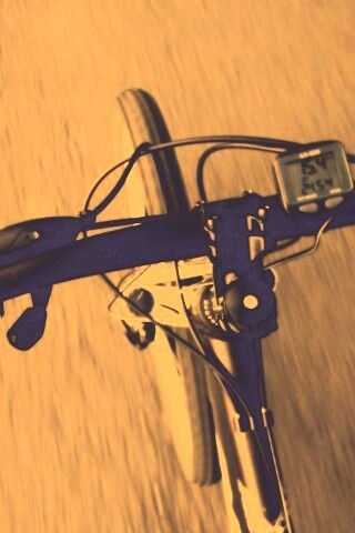 Катание на велосипеде обои