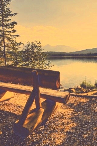 Деревянная скамья на берегу озера обои