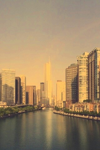 Вид на Чикаго обои