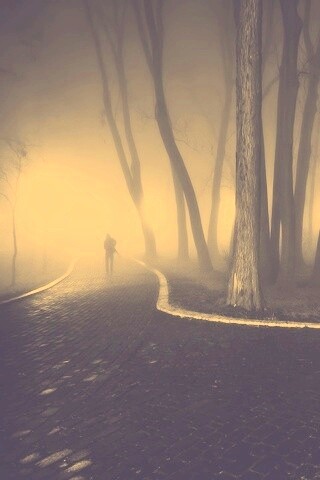 Пустынный лабиринт парковых дорожек обои