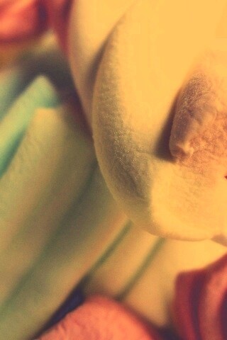 Кручёный зефир обои