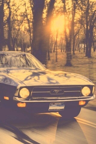 Мустанг обои