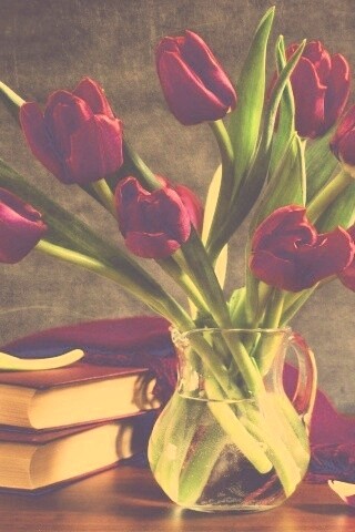 Букет красных тюльпанов обои